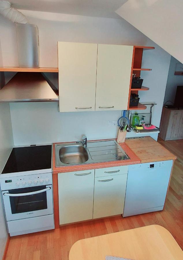 Apartma Manca 克拉尼斯卡戈拉 外观 照片
