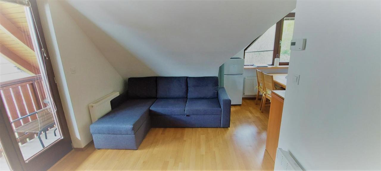 Apartma Manca 克拉尼斯卡戈拉 外观 照片