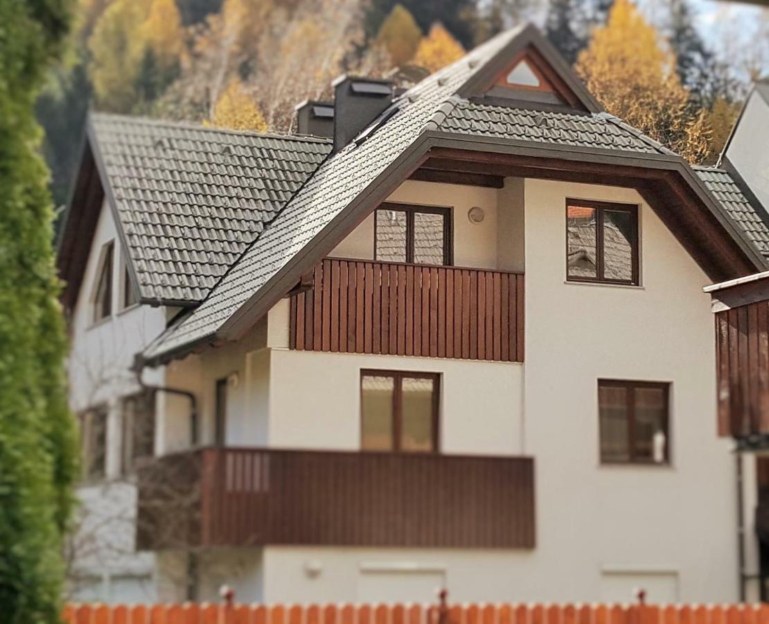Apartma Manca 克拉尼斯卡戈拉 外观 照片